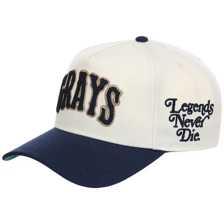 HOMESTEAD GRAYS LEGENDS NEVER DIE TGUG AFRAME Ivo/marine/vert