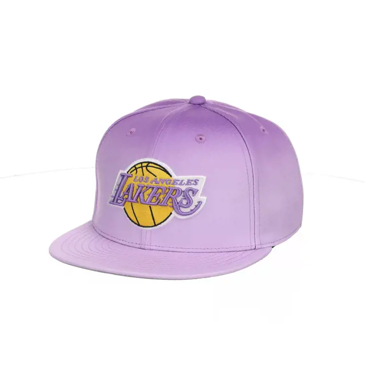 Casquette Snapback NBA Los Angeles Lakers MN Fade N Go VIO/GRI