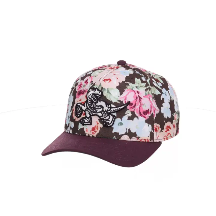Toronto Raptors NBA MN Leroy Pro Pinch AST/BRN/GRY