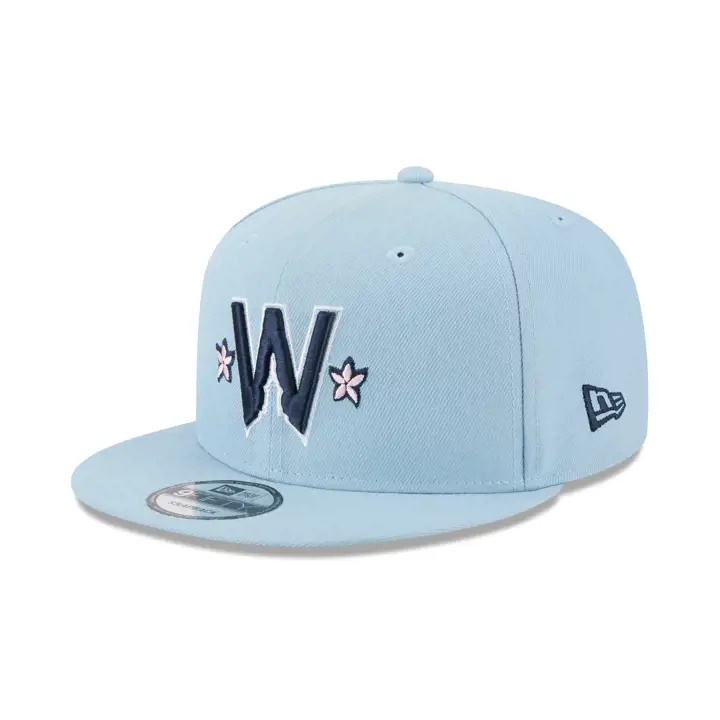 WASHINGTON NATIONALS CC MLB Basic 9FIFTY GRY