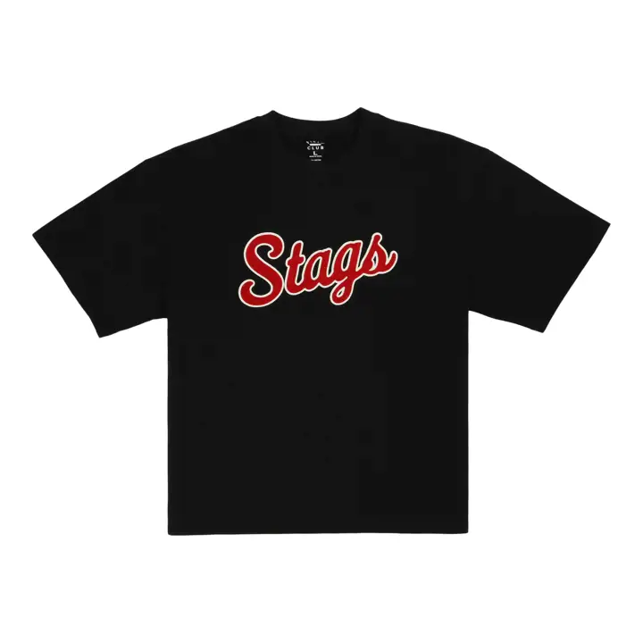 T-shirt Fairfield Stags Heritage gris