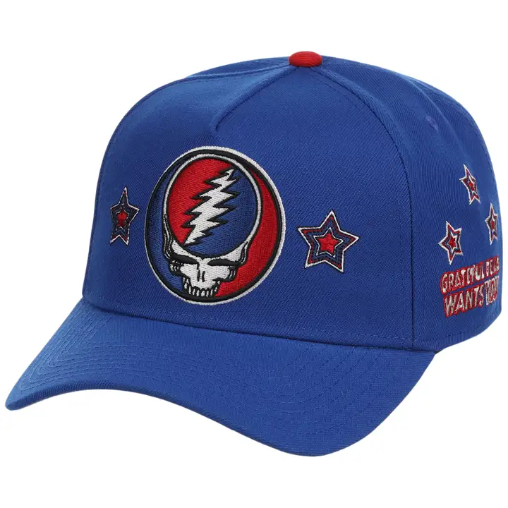 LHD x Grateful Dead Dave's Picks VA A-Frame Williamsburg bl