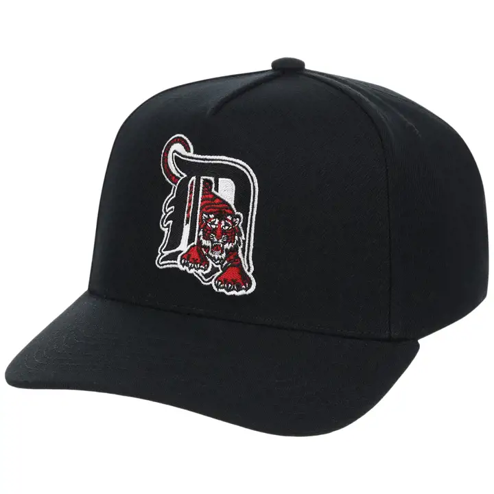 Casquette Detroit Tigers MLB MN Heritage Series Pro Pinch N/N/G