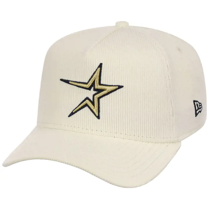 Houston Astros MLB Casquette 9FORTY AF 2.0 CHROME/CHROME/GRY