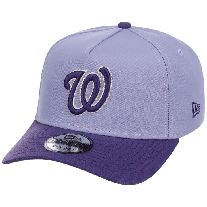 Washington Nationals MLB LAVPURP 9FORTY AF 2.0 LAV/PUR/GRY